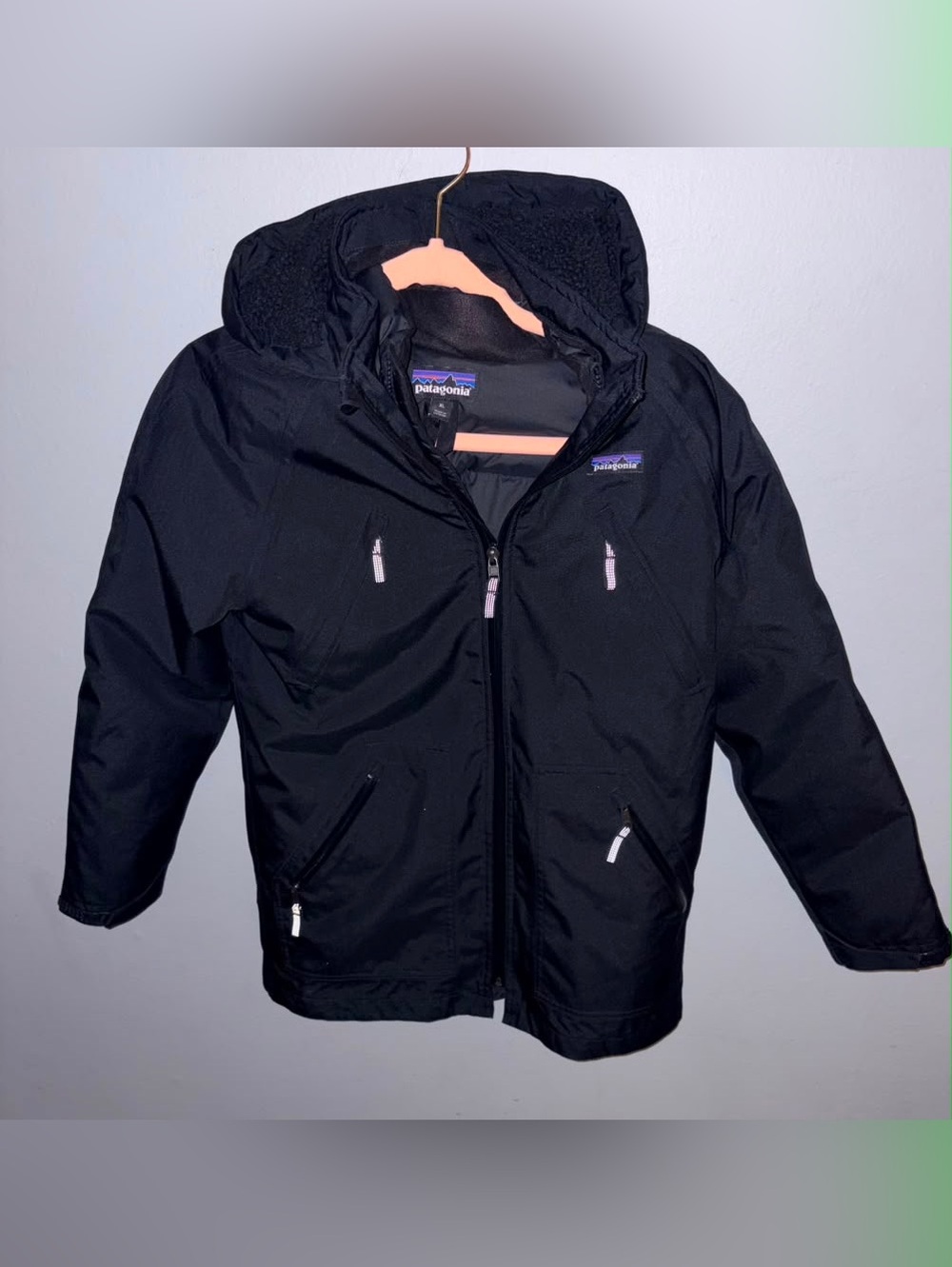 Patagonia Kids Black Hooded Puffer Jacket